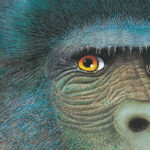 Grande gorilla, piccolo gorilla