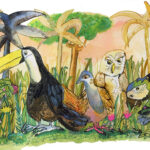 La mia strana vicina